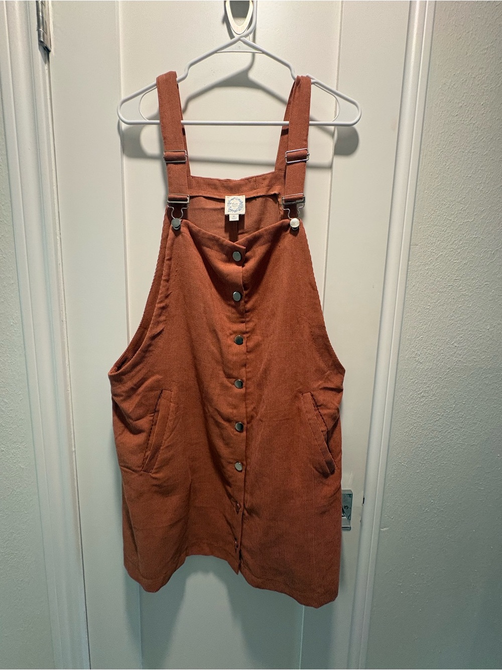 Blue Rain Tan Corduroy Button-Up Dress